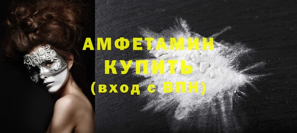 прущие грибы Наволоки