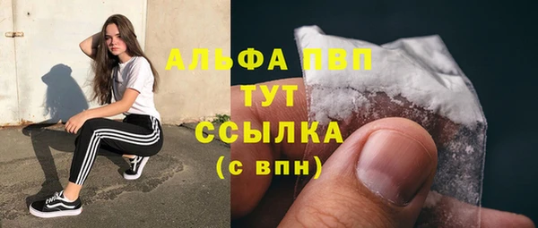 прущие грибы Наволоки
