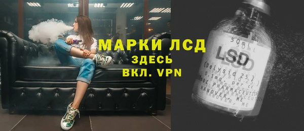 прущие грибы Наволоки