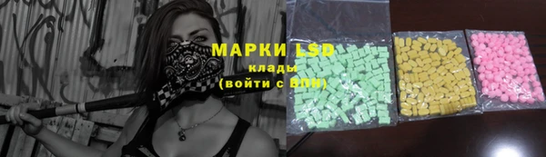 прущие грибы Наволоки