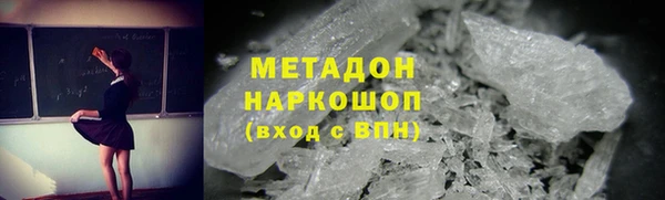 прущие грибы Наволоки