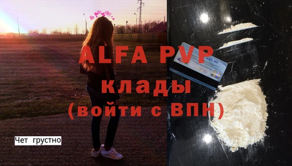 прущие грибы Наволоки