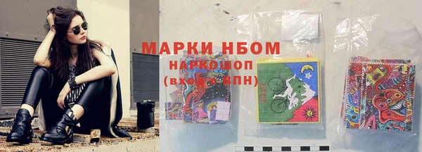 прущие грибы Наволоки