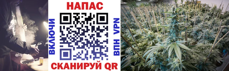 Бошки Шишки план  Тюкалинск 